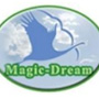 Magic_Dream